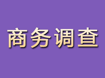 社旗商务调查