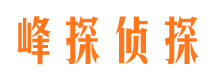 社旗找人公司